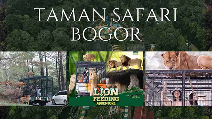 Taman Safari Bogor Menjadi Tempat Wisata Populer Saat Ini